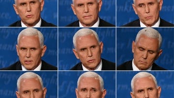 A Fly on Mike Pence’s Head Steals the VP Debate