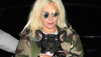 Lady Gaga's Dognapping to be Featured on 'America's Most Wanted' (Exclusive)
