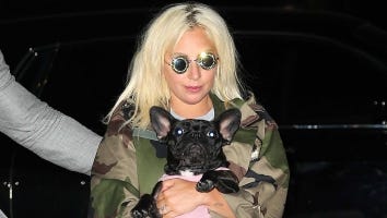 How Lady Gaga Is Adjusting to Being Back in L.A. With Her Pets and Boyfriend Following Dognapping
