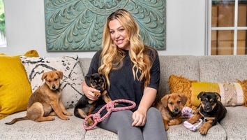 Ellen DeGeneres, Jennifer Aniston and More Celebs Love Wagmor Pets, Owner Melissa Bacelar Explains Why