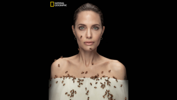 Angelina Jolie Is Covered in Bees -- Here's Why