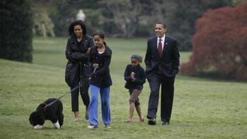 Obama Family Mourns the Death of Beloved Dog Bo: 'We Will Miss Him Dearly'