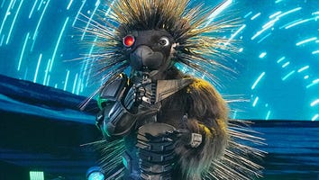 'The Masked Singer': Robopine Gets Shut Down in 'Spicy Six' Showdown -- See What Star Was Under the Mask!