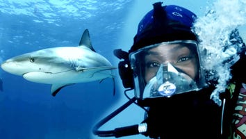 Tiffany Haddish Dives Into Shark-Infested Waters Without a Cage (Exclusive)