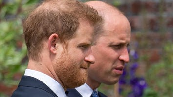 Harry and William's Rift Will Never Be Repaired Thanks to Harry's Upcoming Memoir, Royal Expert Says