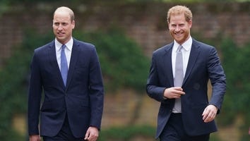 Prince Harry and Prince William Reunite to Unveil Statue of Mom Princess Diana