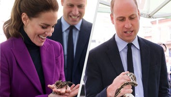 Watch Prince William and Kate Middleton Hold Snakes and Spiders