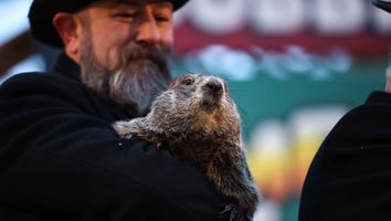 Groundhog Day 2022: Punxsutawney Phil Predicts 6 More Weeks Of Winter