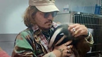 Johnny Depp Visits Wildlife Rescue and Cuddles a Badger After Defamation Trial Win