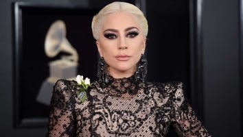 Judge Rules Lady Gaga Won't Have to Pay $500K Reward in Dognapping Case