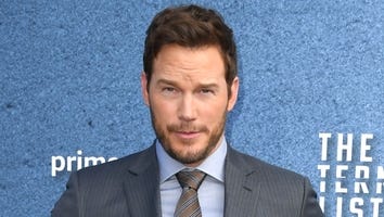 Chris Pratt Suffers Eye Bee Sting, Blames Viral Beekeeper -- and She Responds