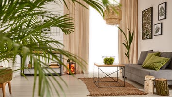 24 Home Decor Finds to Bring Nature Indoors: Shop Plants, Lights, Rugs and More