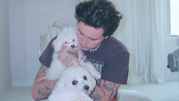 Brooklyn Beckham and Nicola Peltz Love Balooja’s Foundation Rescue Dog Organization, Founder Explains Why