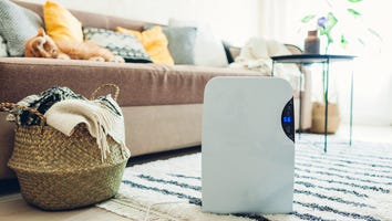 The Best Dehumidifiers for Fresh Air This Summer: Shop GE, Frigidaire, Insignia and More