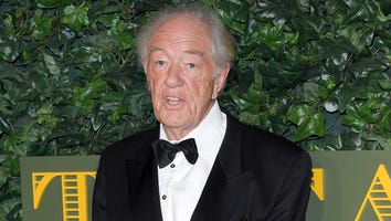 Michael Gambon, Dumbledore Actor in 'Harry Potter' Films, Dead at 82
