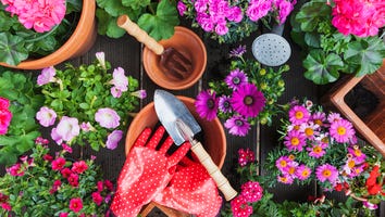 Spring Gardening Essentials You Can Shop on Amazon — Shop Plants, Indoor Gardening Needs and More