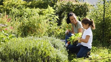 Lowe’s SpringFest Sale Is Here — Shop the Best Deals on Lawn Care, Grills, Patio Furniture and More