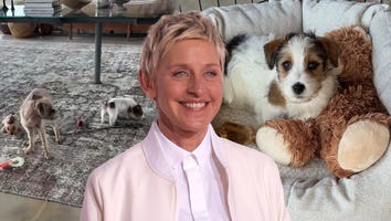 Ellen DeGeneres Shares Rare Glimpse Into Her Home Life in the UK