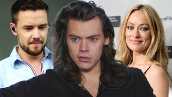 Harry Styles' 'Paint By Numbers': Why Fans Are Convinced It's About Liam Payne and Olivia Wilde