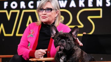 Carrie Fisher's Dog Gary Inspired a New Alien in 'Star Wars: The Last Jedi'