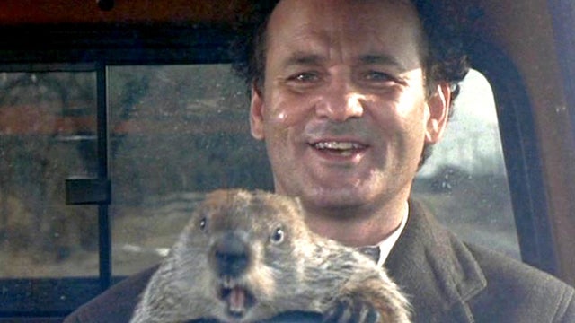 The 7 Highest-Rated Bill Murray Films