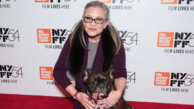 Carrie Fisher and Her Beloved Dog Gary's Sweetest Moments
