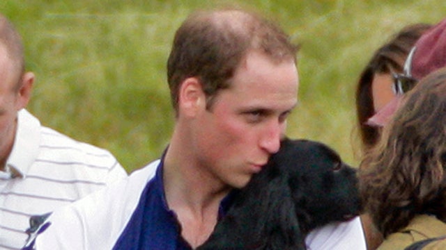 These Precious Pics of Royal Family Dogs and Babies Will Leave You With All the Feels