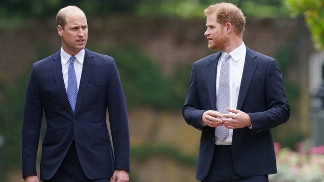 Prince William and Prince Harry Appear to Be ‘Done’ With Each Other, Royal Biographer Says