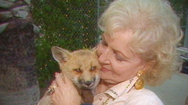 Remembering Betty White's Legacy as an Animal Advocate