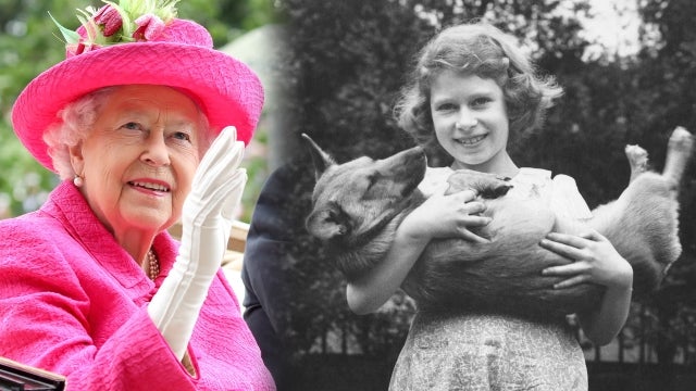 Queen Elizabeth's Corgis: Who Takes Care of Her Dogs After Her Death