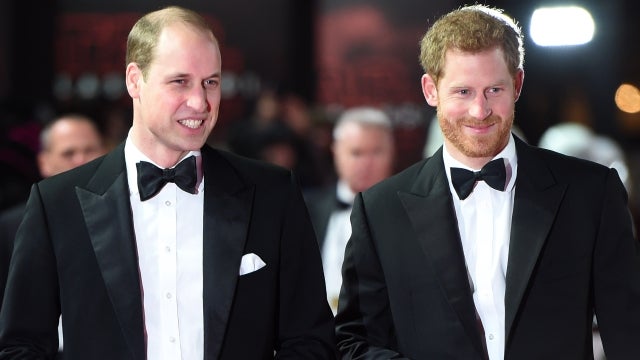 Prince William 'Cannot Forgive' Prince Harry for Giving Up Royal Duties, Expert Says 