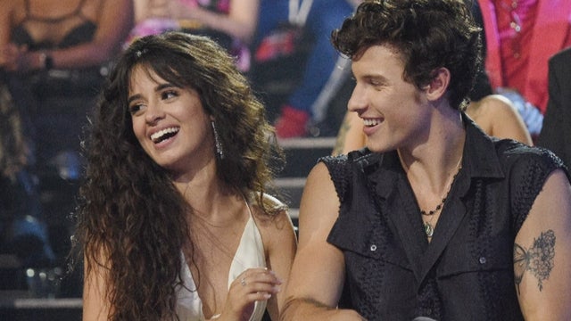 Camila Cabello Seemingly Sings About Wanting Shawn Mendes Back in New Song 