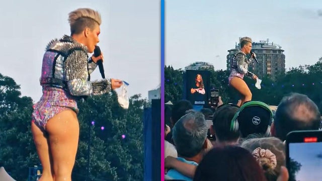 Pink Left Speechless After Fan Throws Mother’s Ashes on Stage During Concert