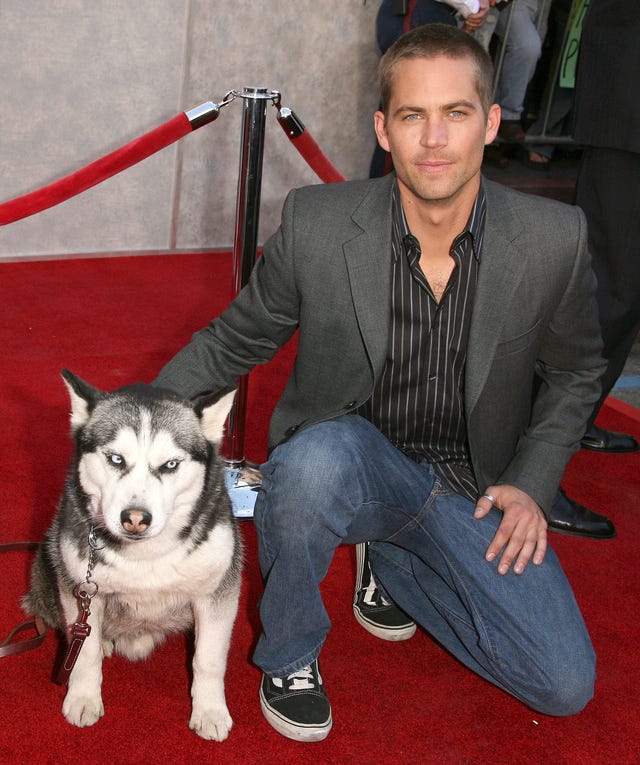 Remembering Paul Walker Entertainment Tonight(01)