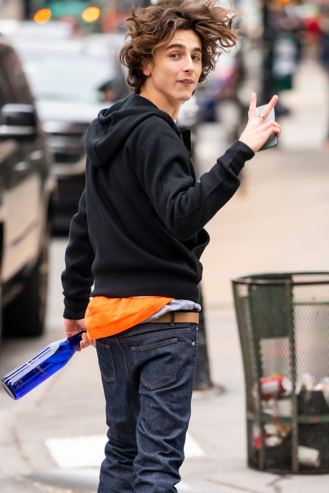 Timothée Chalamet in nyc