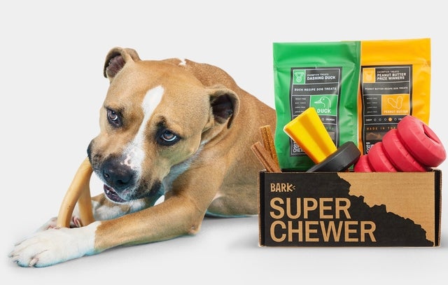 SUPER BUTTER BOX/super butter dog 邦楽 SUPER BUTTER DOG