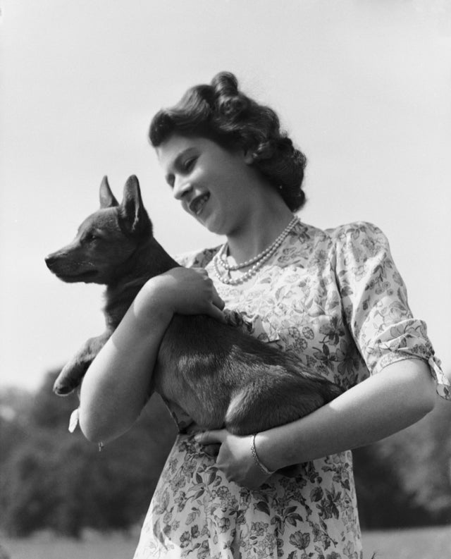 Queen Elizabeth with her pet Corgi Sue or Susan at Windsor Castle, UK, 30th May 1944