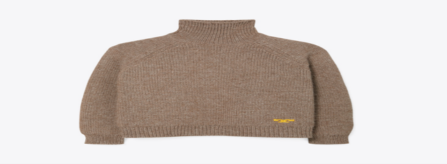 Raglan Turtleneck
