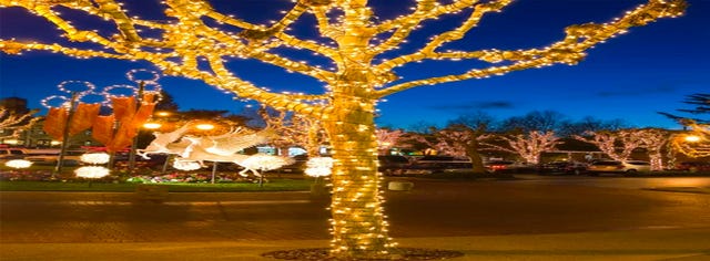 Fairy solar string lights