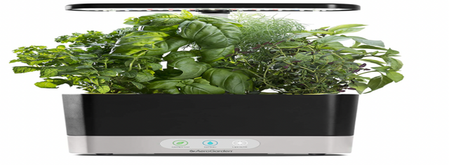 AeroGarden Harvest Indoor Garden