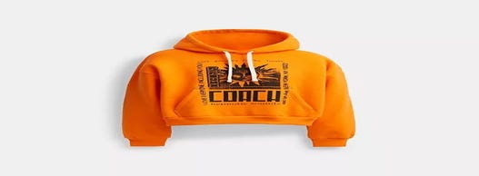 Cropped Pullover Hoodie