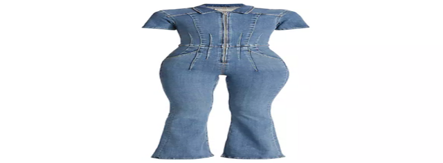 Free People Jayde Denim Flared Jumpsuit