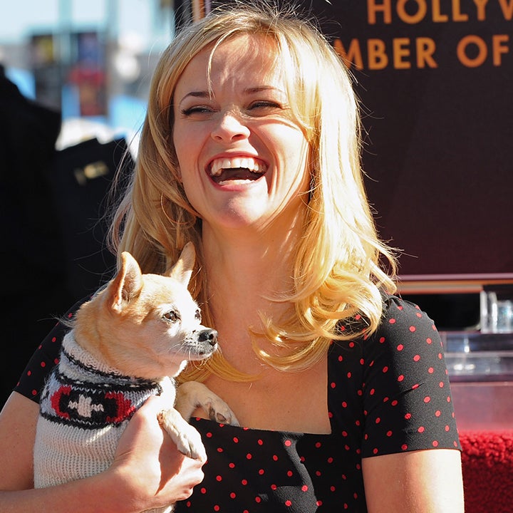 Reese Witherspoon Reveals the Chihuahua From 'Legally Blonde' Has Died -- Read Her Sweet Tribute