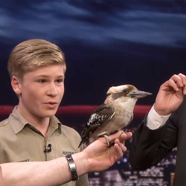 Jimmy Fallon and Robert Irwin Mimic Cardi B to Speak to a Kookaburra Bird
