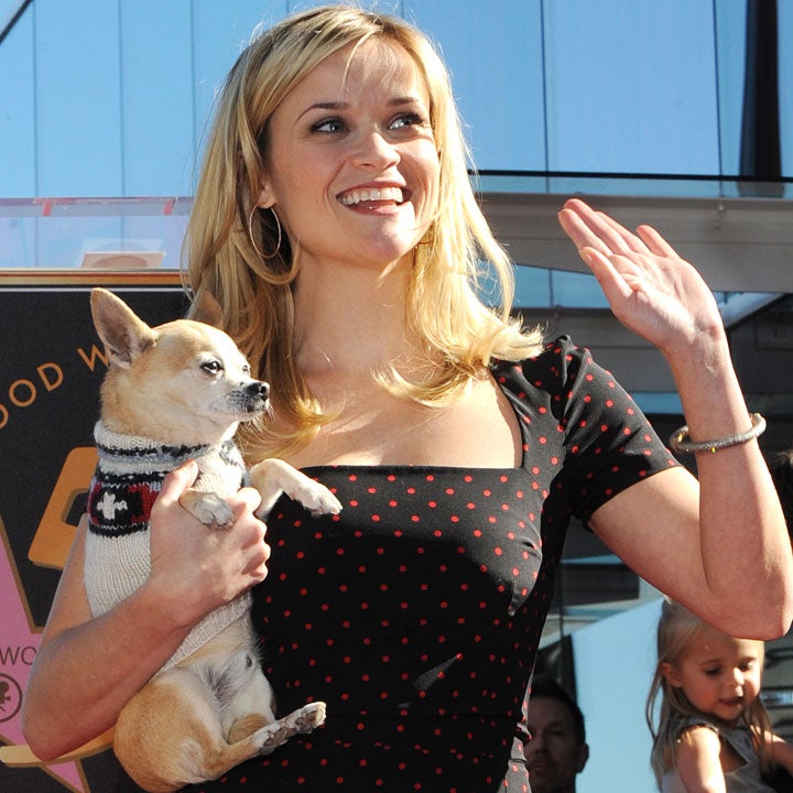 Reese Witherspoon in Talks for 'Legally Blonde 3'