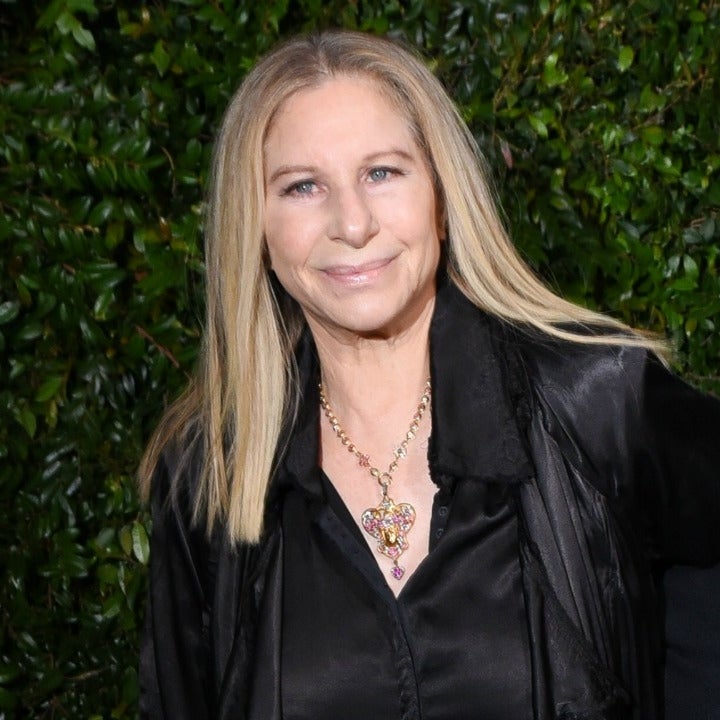 Oscars 2019: 'A Star Is Born' Actress Barbra Streisand to Present at Awards Show