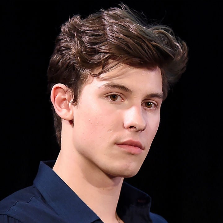 Shawn Mendes Wants Fans to Stop Questioning His Sexuality: 'It's Hurtful'