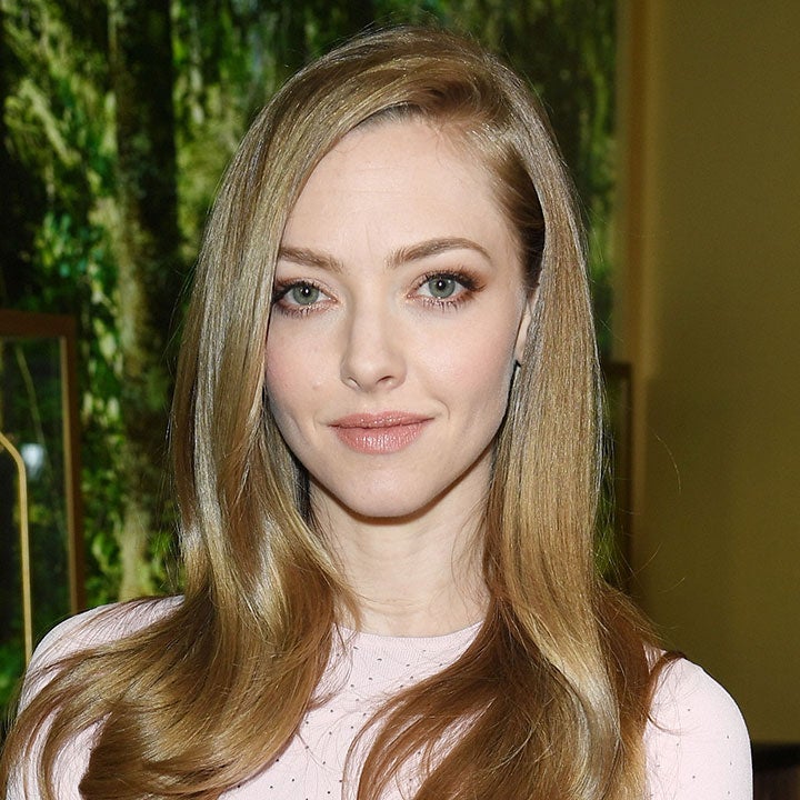 Amanda Seyfried Poses With Her Two Onscreen Dads After Running Into Them at the Airport