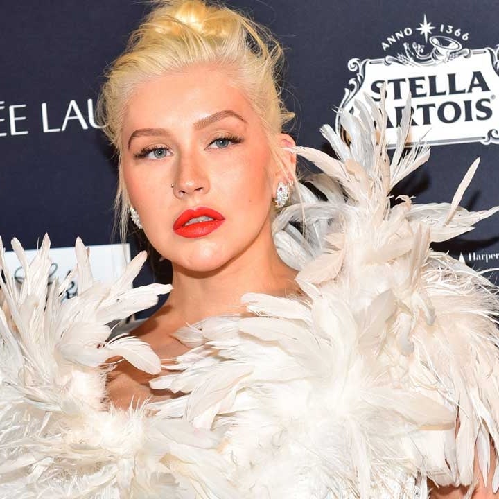 Christina Aguilera Shares Photo of Her 'Blended' Family