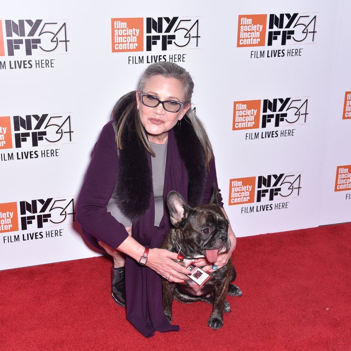 Carrie Fisher’s Dog Gary Retires to Florida Two Years After Her Death